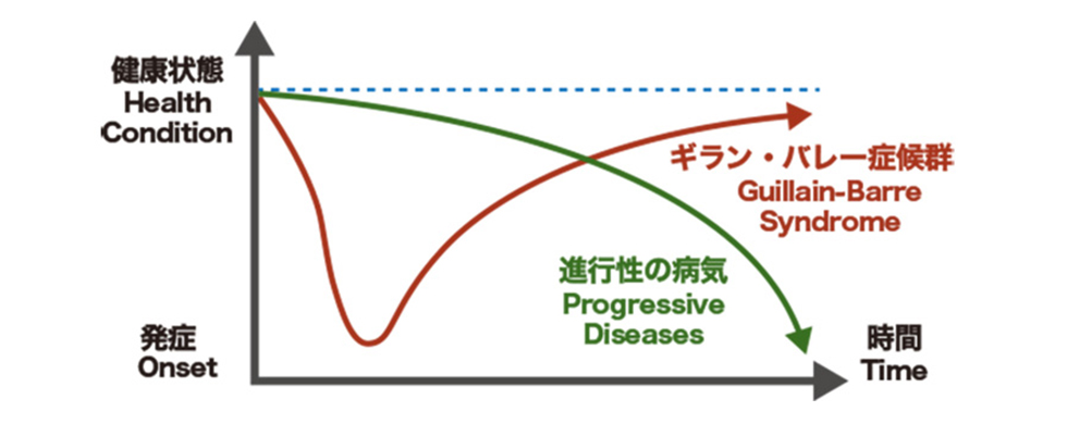 図1：ギラン・バレー症候群の症状進行の特徴（イメージ図）（高尾先生ご提供）