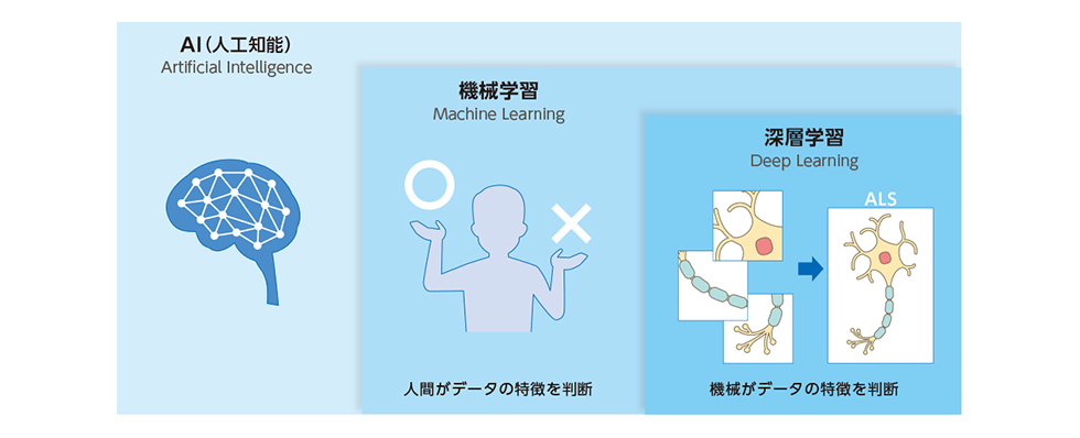 図3：AIの機械学習と深層学習