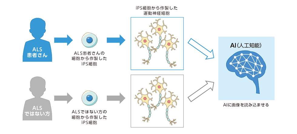 図4：実験方法