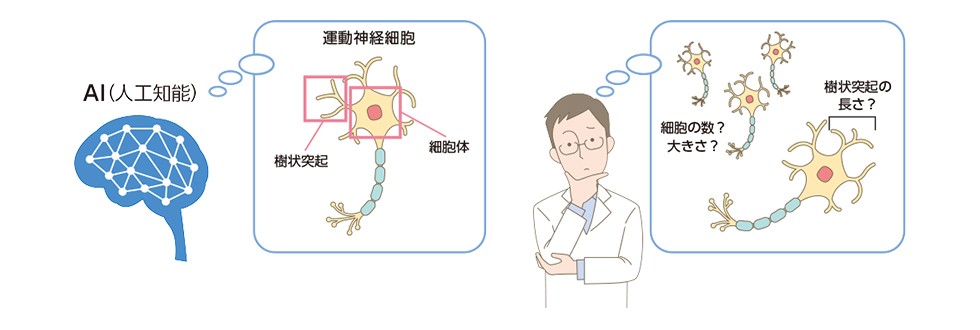 図5：AIと人間は見ている部分が異なる