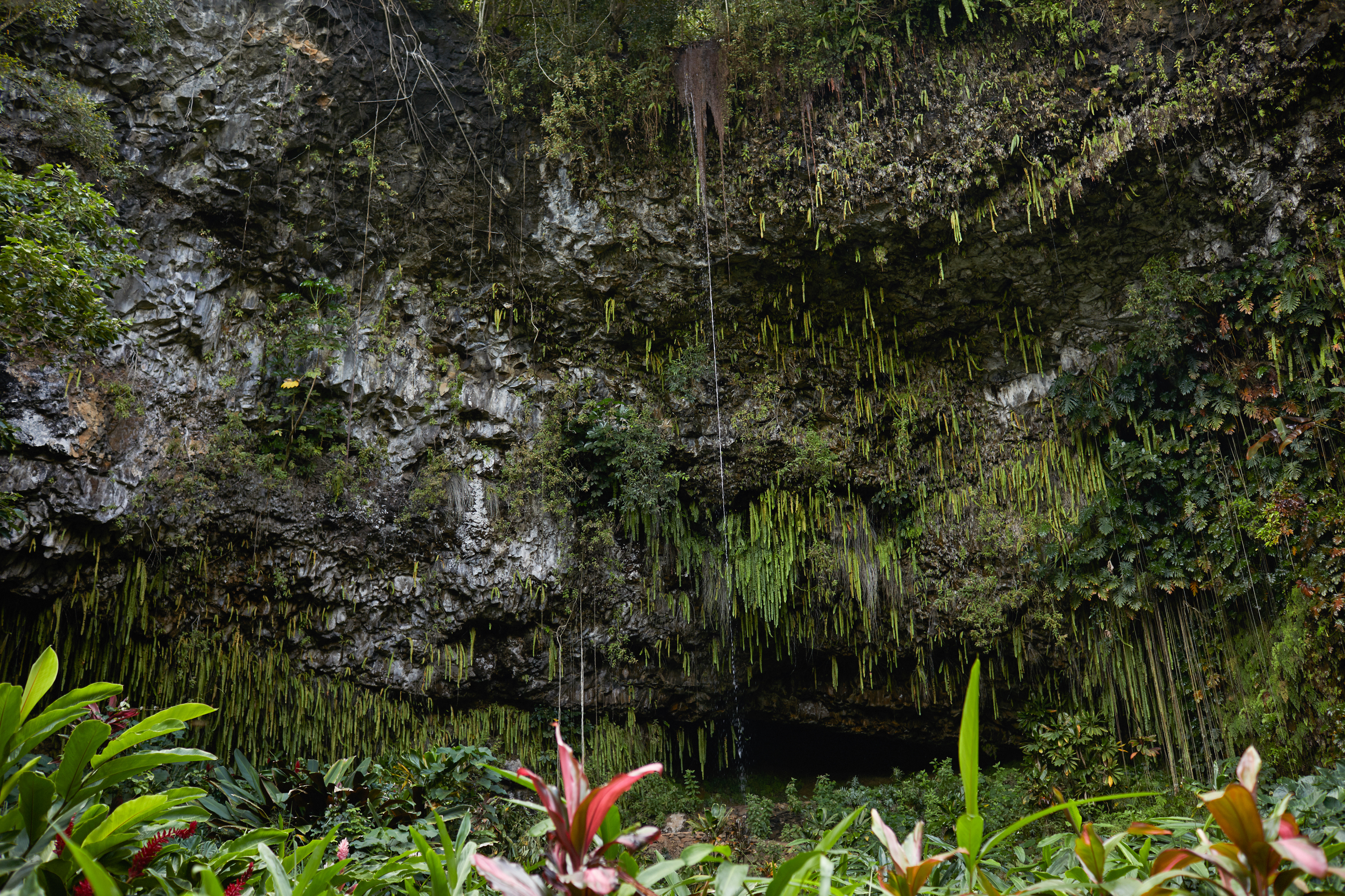 【離島】約132の島々からなるハワイは大自然の宝庫